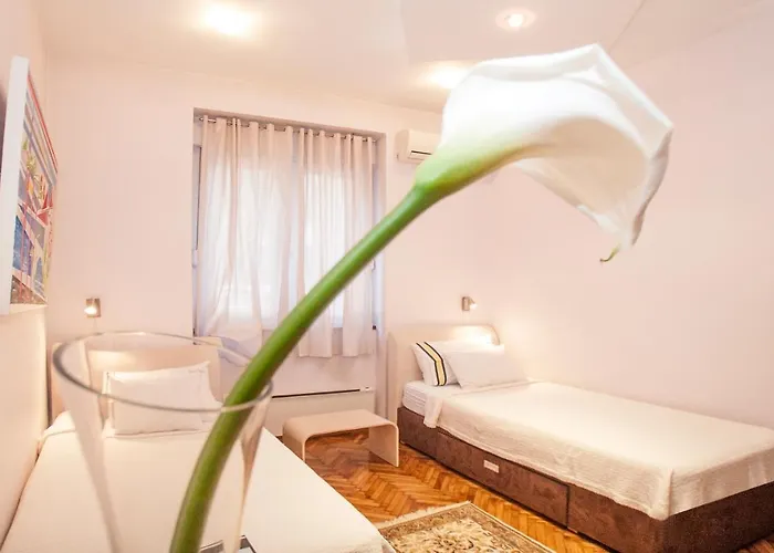 Piano Cube 베오그라드